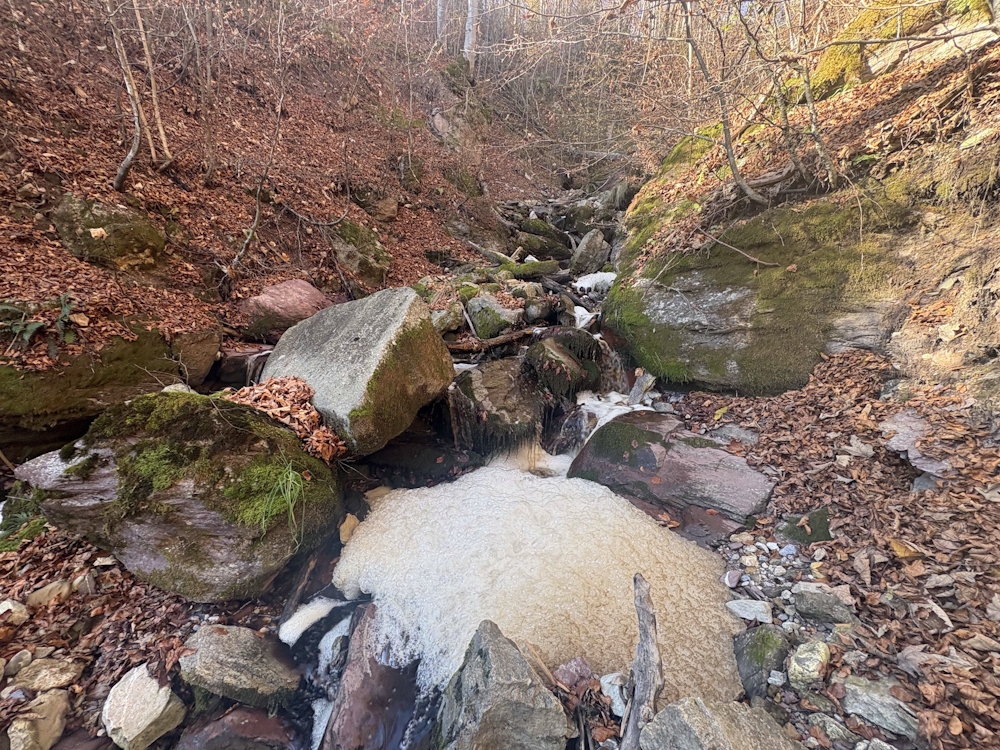 Flumserberg Bergheim